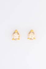 Load image into Gallery viewer, The Perfect Gift Earrings
