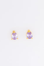 Load image into Gallery viewer, The Perfect Gift Earrings
