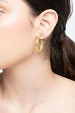 Load image into Gallery viewer, Zig Zag Hoops - Pre Order
